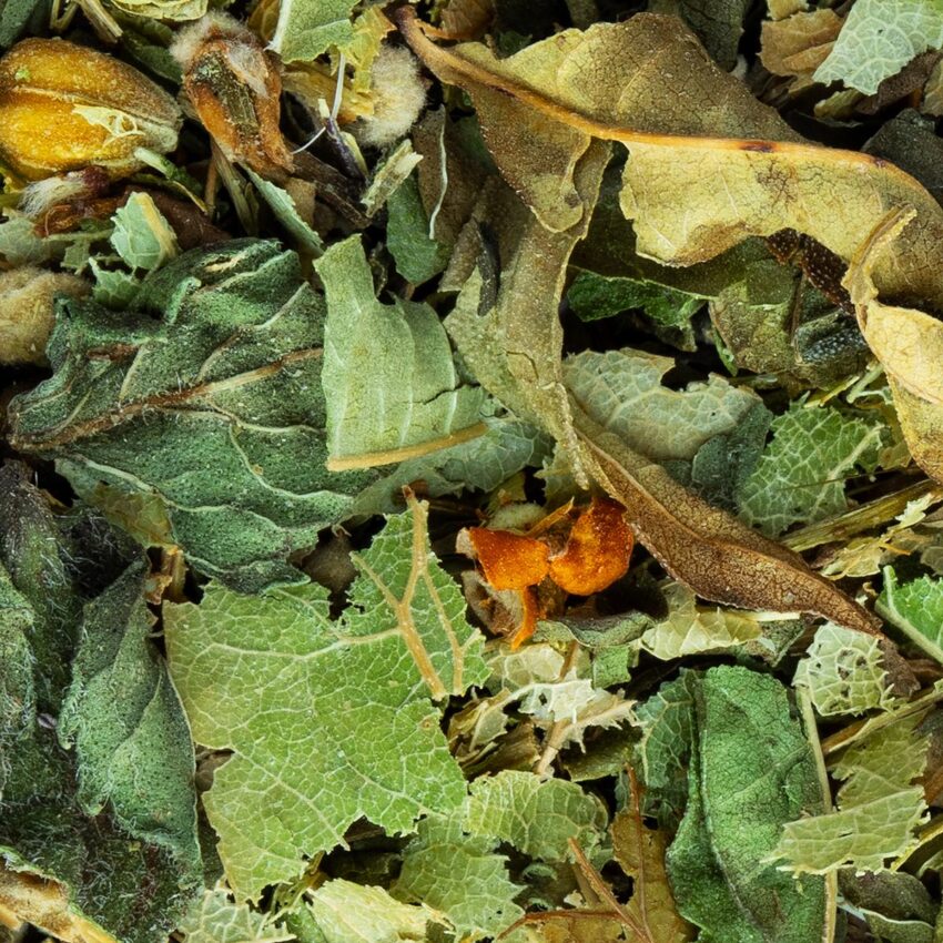 Tisane Fraîcheur du Tilleul Bio Saveur Menthe et Tilleul par Made in Thé - Vue zoomée