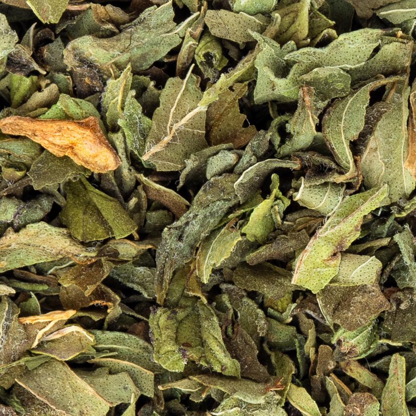 Tisane Menthe Poivrée Bio Saveur Menthe par Made in Thé - Vue zoomée